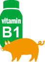 ②ビタミンB1